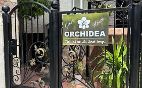 Orchidea Guest House